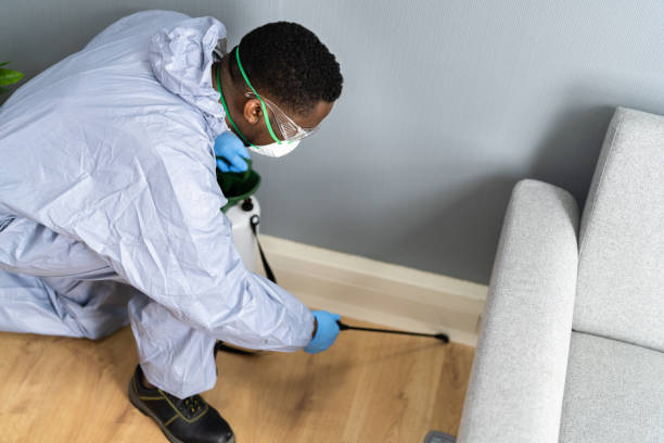 Best Fumigation Services  in Bassett, VA